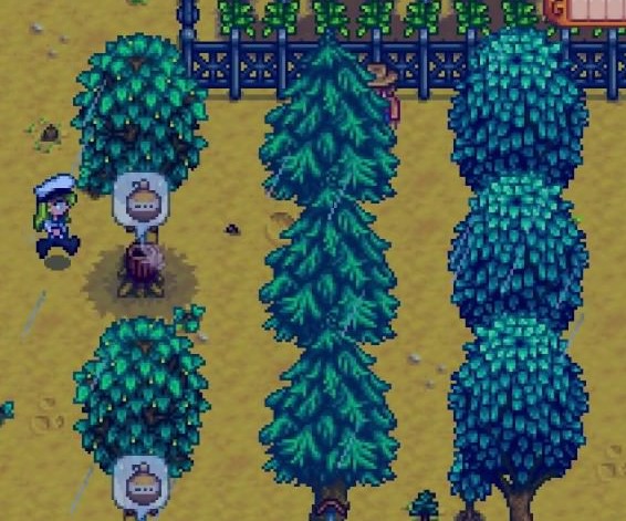 stardew valley forester or gatherer