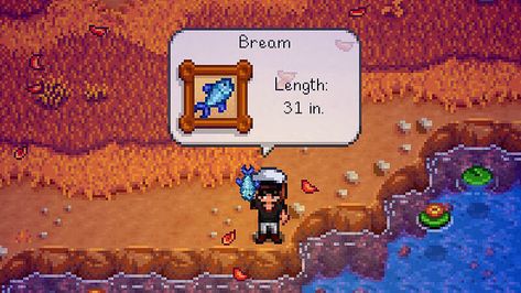 stardew valley fisher or trapper