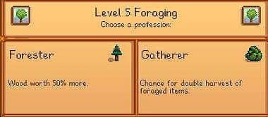 stardew valley forester or gatherer