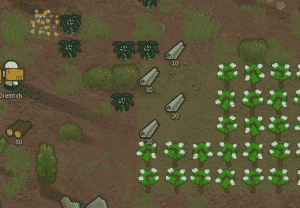 best things to grow in hydroponics rimworld
