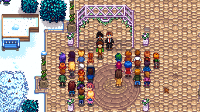 how-to-marry-shane-in-stardew-valley