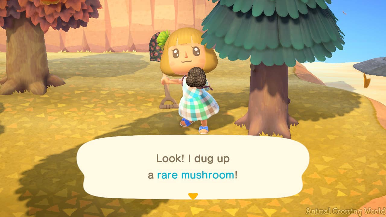 Rare Mushroom Animal Crossing New Horizons Where to Find Them