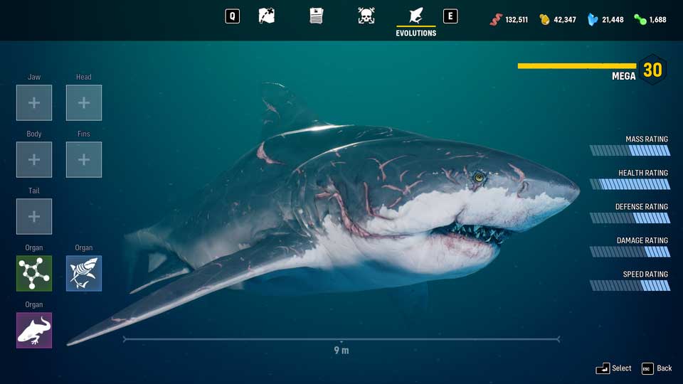 Maneater on X: Have you downloaded your Tiger Shark skin yet? No