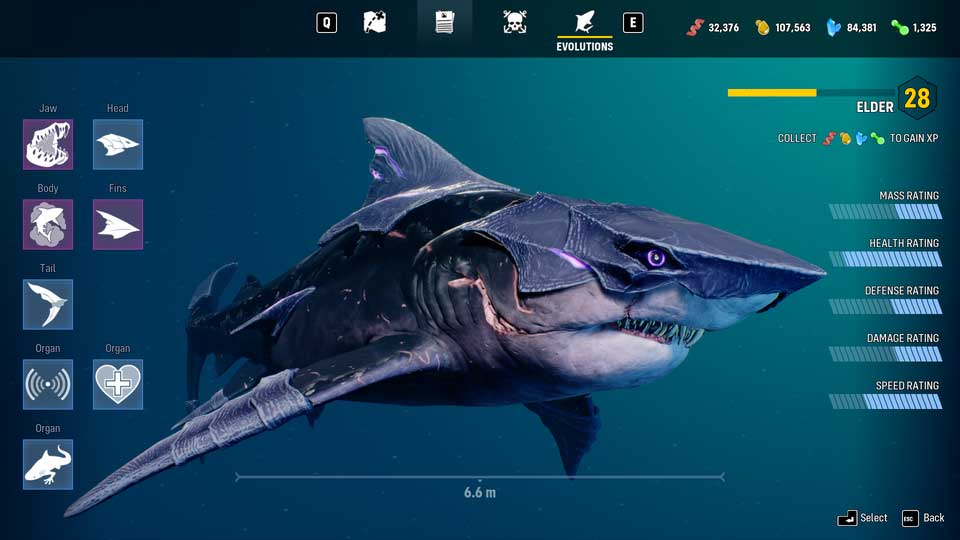 Grab Maneater's Hot Rod Tiger Shark Skin for Free on the Xbox