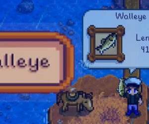 How To Catch Walleye Stardew Valley