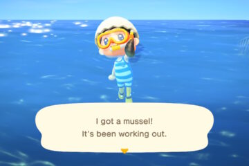 What Is A Mussel In Animal Crossing