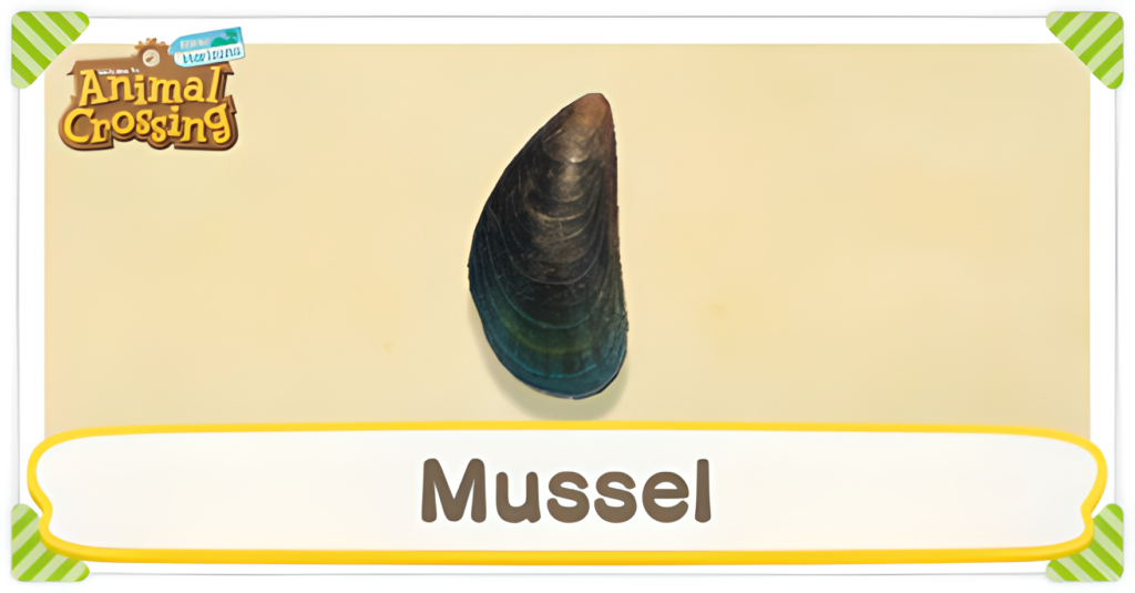 What Is A Mussel In Animal Crossing