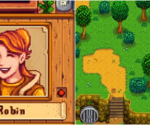 Where Does Robin Live In Stardew Valley