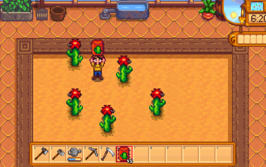 How To Get & Use Cactus Fruit In Stardew Valley