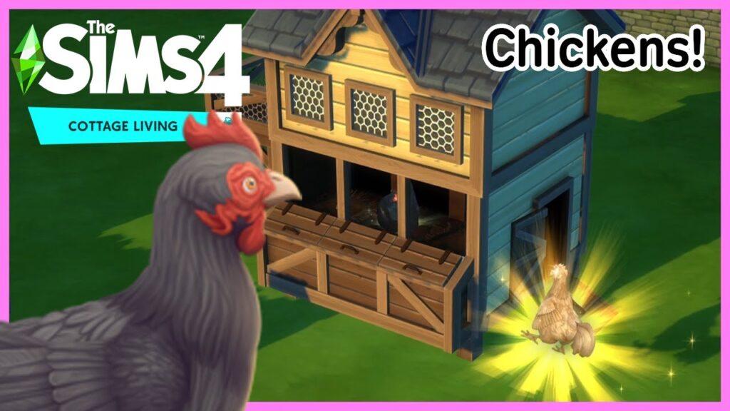 How to Clean your Chickens in Sims 4