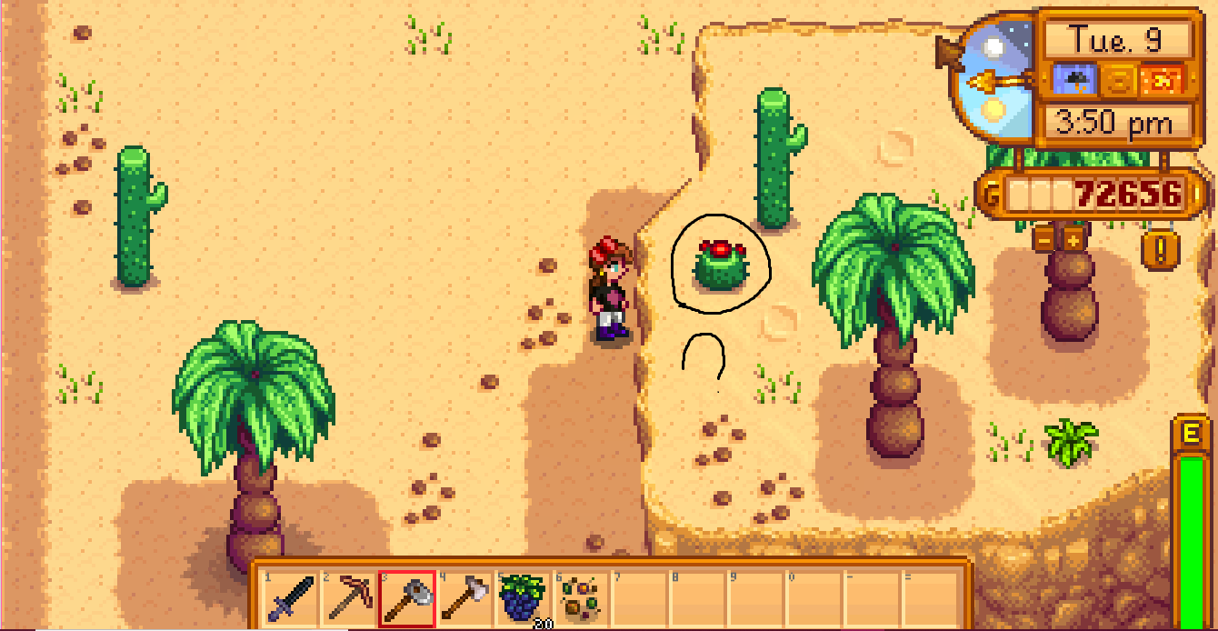 How To Get & Use Cactus Fruit In Stardew Valley? Gaming News